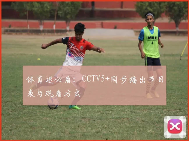 体育迷必看:CCTV5+同步播出节目表与观看方式