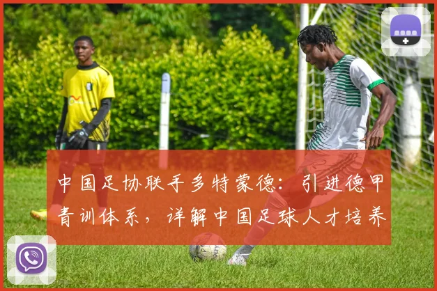 中国足协联手多特蒙德：引进德甲青训体系，详解中国足球人才培养新路径