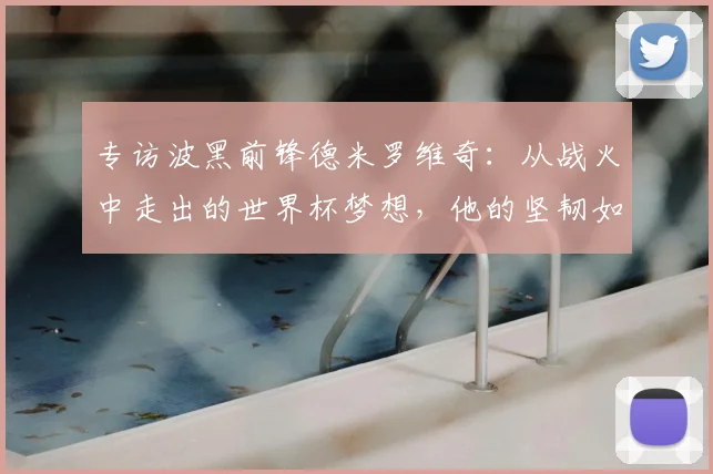 专访波黑前锋德米罗维奇：从战火中走出的世界杯梦想，他的坚韧如何激励人心